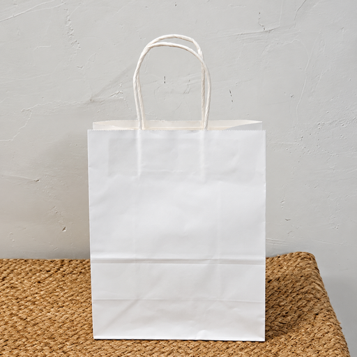 Big Size  Premium  Shopping Bags with Twisted Handles | Big Size 13 × 10 × 5 Inches | Multiple Colours