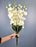 1 Bunch Gladious Artificial Flower Bunch for Gifting, Home Decor, Bedroom, Garden, Balcony,Table Top, Office Corner Decoration and Craft (Pack of 1 Bunch)