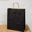 Big Size  Premium  Shopping Bags with Twisted Handles | Big Size 13 × 10 × 5 Inches | Multiple Colours