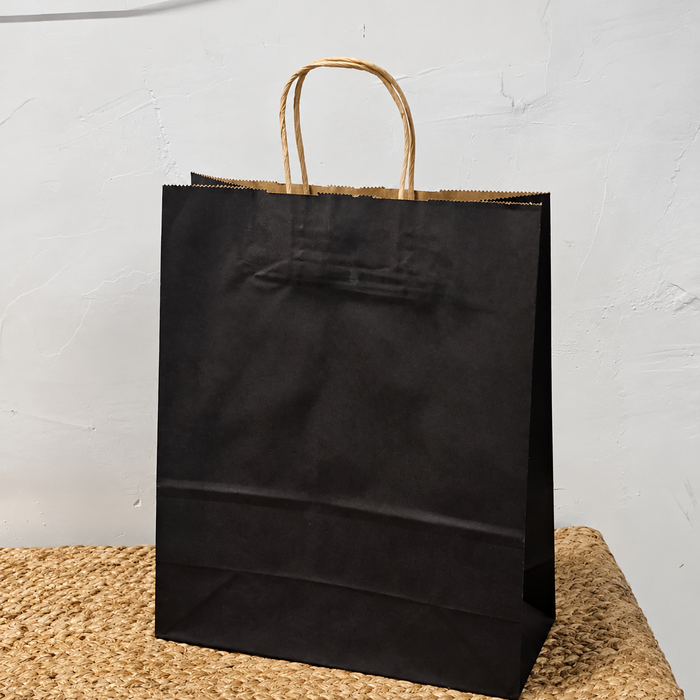 Big Size  Premium  Shopping Bags with Twisted Handles | Big Size 13 × 10 × 5 Inches | Multiple Colours