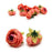 Artificial Peony Rose Flower Head -3 cm