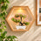 Artificial Bonsai Tree with Designer Pot for Home Decor, Room Decorations, Living Room Table, Diwali Decoration Plants and Craft Items Corner (Pack of 1)
