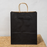 Big Size  Premium  Shopping Bags with Twisted Handles | Big Size 13 × 10 × 5 Inches | Multiple Colours