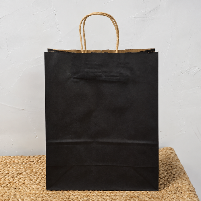 Big Size  Premium  Shopping Bags with Twisted Handles | Big Size 13 × 10 × 5 Inches | Multiple Colours