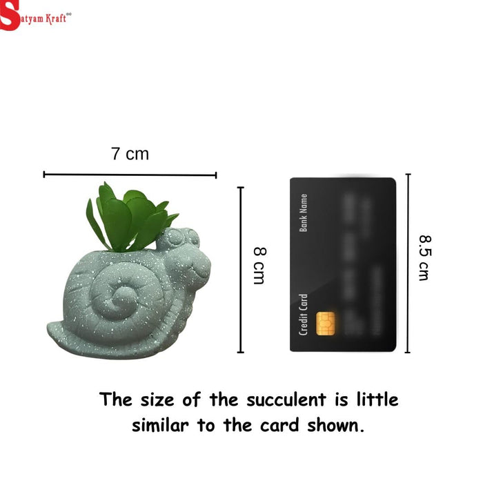 Mini Aesthetic Succulent Plant with Ceramic Cement Snail Pot for Indoor,to Add Charm to Your Homedecor