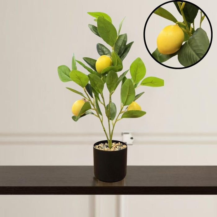 Artificial Lemon Plant with Pot succulent, Artificial Flower Decoration Plant for Home Decor Item, Office, Bedroom, Living Room, Shop Decoration Items ( Green)
