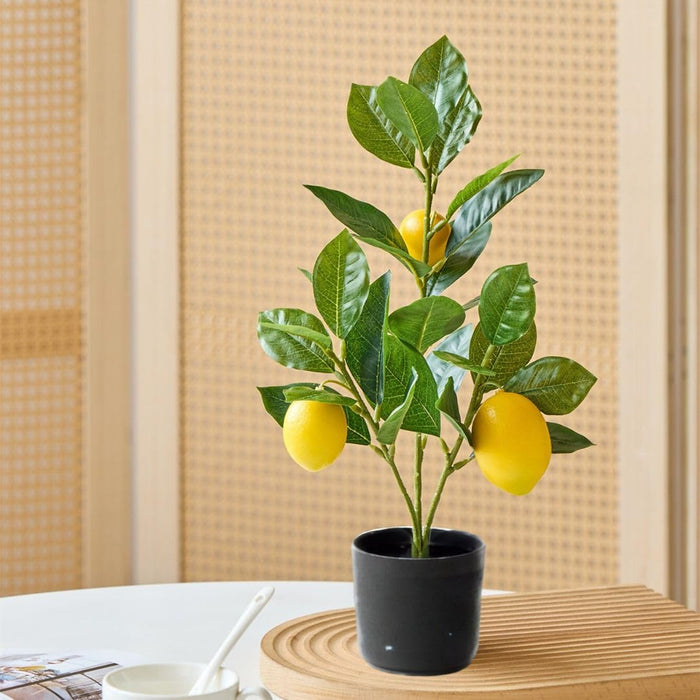 Artificial Lemon Plant with Pot succulent, Artificial Flower Decoration Plant for Home Decor Item, Office, Bedroom, Living Room, Shop Decoration Items ( Green)