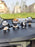 Panda Miniature Set for Unique Gift, Home,Bedroom, Living Room, Office, Restaurant Decor, Figurines and Garden Decor Items (Multicolor)(Poly Resin)(4 Pieces in 1 Set)