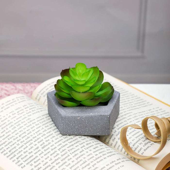 Mini Aesthetic Succulent Plant with Ceramic Cement Pot for Indoor, to Add Charm to Your Homedecor