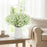 Artificial Baby’s Breath Gypsy Flowers | Gypsophila Bouquet for Home Decor, Bedroom, Balcony, Garden, Birthday Surprise & Wedding Décoration (28.5 cm)