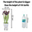 Lily of the Valley Artificial Plant with Pot, Artificial Flower Decoration Plant succulent for Home Decor Item, Office, Bedroom, Living Room, Shop Decoration Items