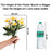 Artificial Dahlia Peony Flowers for Home, Office, Bedroom, Living Room, Events, Birthdays, Festivals & Gifting (Fabric, Without Vase)