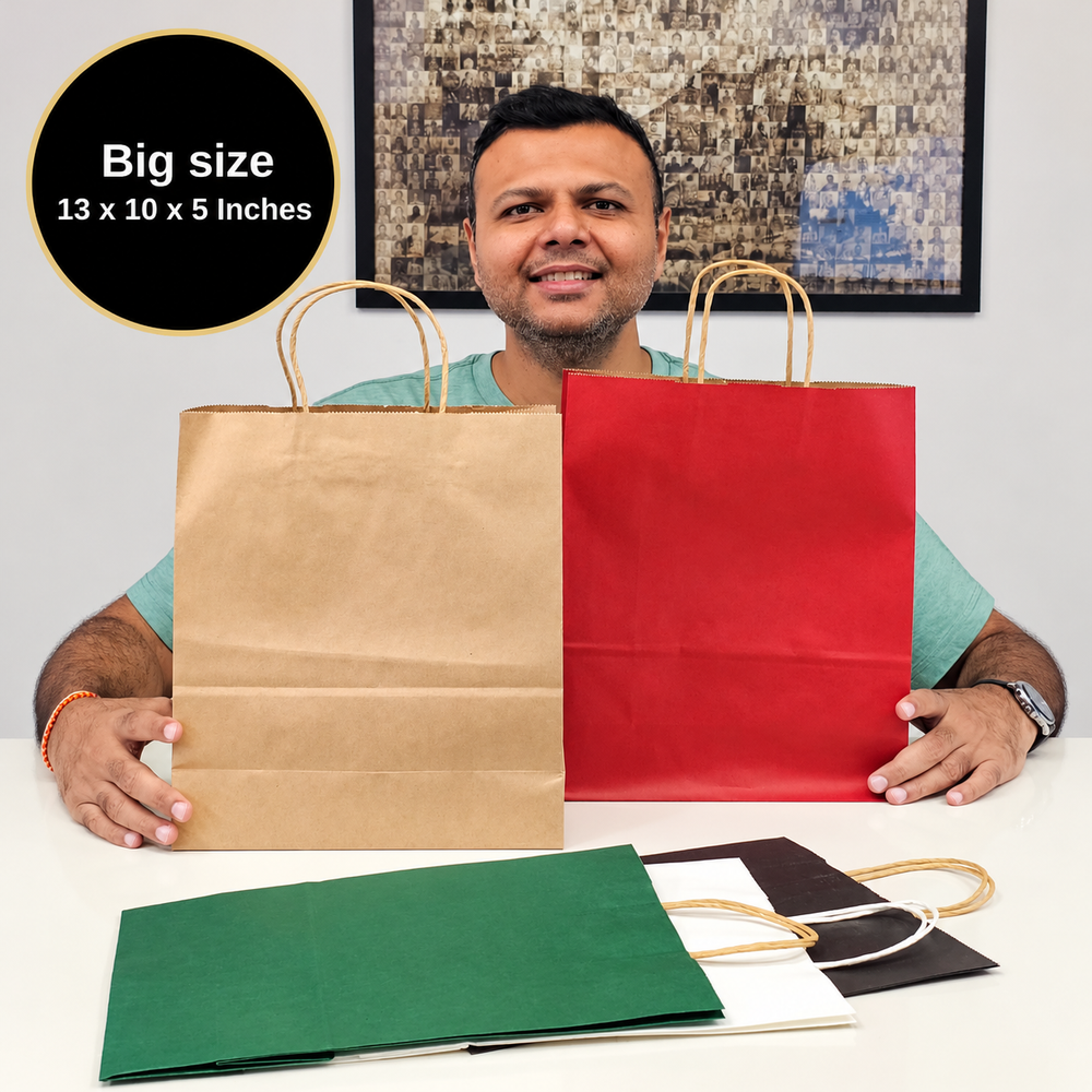 Big Size  Premium  Shopping Bags with Twisted Handles | Big Size 13 × 10 × 5 Inches | Multiple Colours