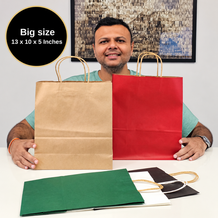 Big Size  Premium  Shopping Bags with Twisted Handles | Big Size 13 × 10 × 5 Inches | Multiple Colours