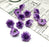 Artificial Eden Rose Flowers Head for Home Decoration and Craft (4 cm)