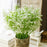 Artificial Baby’s Breath Gypsy Flowers | Gypsophila Bouquet for Home Decor, Bedroom, Balcony, Garden, Birthday Surprise & Wedding Décoration (28.5 cm)