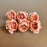 Camellia Artificial Flower Heads Rose Flowers for Home Decoration,Artificial Peony Silk Flowers, Gift, Mandir Pooja Table, Cake Decor, Bouquet Making, Backdrop, DIY Art Craft (Pack of 20)