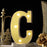 Marquee Alphabet Shaped Led Light - Asthetic Decorations Letter Light for Romantic Gift, Bedroom, Table, Home Decoration, Night Light Lamp (Golden, 1 Piece) (Letters)