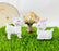 Outdoor Fairy Garden Accessories Miniatures,Mini garden decor Craft project Tools, Dollhouse miniature, Desk Top decor for Home,office