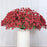 Artificial Baby’s Breath Gypsy Flowers | Gypsophila Bouquet for Home Decor, Bedroom, Balcony, Garden, Birthday Surprise & Wedding Décoration (28.5 cm)