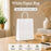 Premium Paper Gift Bag with Handle | Return Gift, Shopping & Packaging Bag | Available in Red, White, Black, Green & Brown