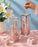Clear Transparent Gift Box with Frame and Rope Handle for Hampers, Wedding Gifts, Return Gifts, Chocolates, Dry Fruits, Cosmetics, Baby Shower, Festive Gifting & Premium Gift Packaging (21 cm x 7 cm x 7 cm)