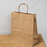 Big Size  Premium  Shopping Bags with Twisted Handles | Big Size 13 × 10 × 5 Inches | Multiple Colours