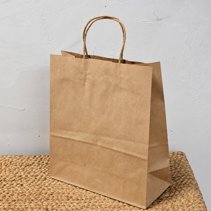 Big Size  Premium  Shopping Bags with Twisted Handles | Big Size 13 × 10 × 5 Inches | Multiple Colours