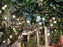 10 Bulb Series Light | 10 Ft Long Extendable String Light | 100% Copper | Made in India for Diwali & Weddings