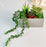 1 Pc Artificial Succulent Plant Artificial Exquisite Faux Plant to Add Charm to Your Home Decor, Garden, showpiece, Table Top, Balcony, Perfect for Gifting, Elegant Shelf, and Office Desk