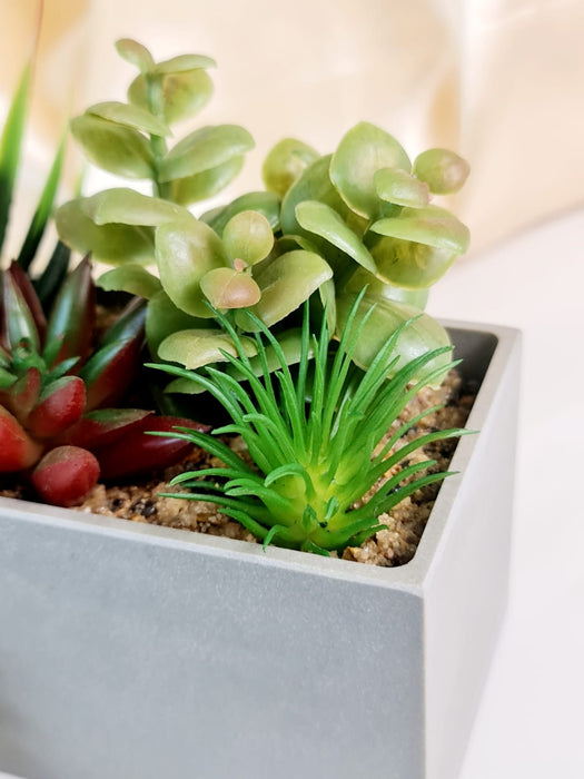 1 Pc Artificial Succulent Plant Artificial Exquisite Faux Plant to Add Charm to Your Home Decor, Garden, showpiece, Table Top, Balcony, Perfect for Gifting, Elegant Shelf, and Office Desk