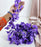 6 Lines Single Layer Petals Artificial Wisteria Flower Line Garlands, Wall Hanging decorative String Lines items for Anniversary Decoration, Home Decor, Pooja, Diwali Functions (Pack of 1)