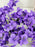 6 Lines Single Layer Petals Artificial Wisteria Flower Line Garlands, Wall Hanging decorative String Lines items for Anniversary Decoration, Home Decor, Pooja, Diwali Functions (Pack of 1)