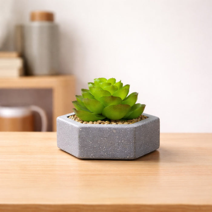 Mini Aesthetic Succulent Plant with Ceramic Cement Pot for Indoor, to Add Charm to Your Homedecor