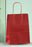 Premium Paper Gift Bag with Handle | Return Gift, Shopping & Packaging Bag | Available in Red, White, Black, Green & Brown
