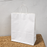 Big Size  Premium  Shopping Bags with Twisted Handles | Big Size 13 × 10 × 5 Inches | Multiple Colours