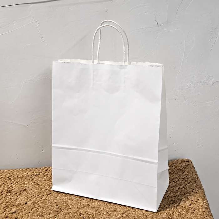 Big Size  Premium  Shopping Bags with Twisted Handles | Big Size 13 × 10 × 5 Inches | Multiple Colours