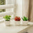 Succulent Small Mini indoor Plants with aesthetic cement pot(1 set =3pcs), Artificial Plant, indoor flower Plant with Pot