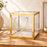 Clear Transparent Gift Box with Frame and Rope Handle for Hampers, Wedding Gifts, Return Gifts, Chocolates, Dry Fruits, Cosmetics, Baby Shower, Festive Gifting & Premium Gift Packaging (21 cm x 21 cm x 21 cm size)