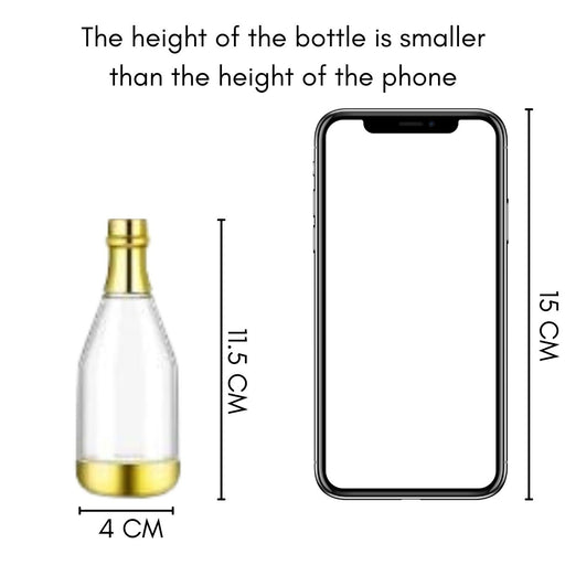 10 Pcs Champagne Design Storage Bottle for Return Gift, Birthday,Anniversary, Housewarming, Perfect for Packing Chocolate and Invitations (11.5 cm height)(Golden)