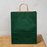 Big Size  Premium  Shopping Bags with Twisted Handles | Big Size 13 × 10 × 5 Inches | Multiple Colours