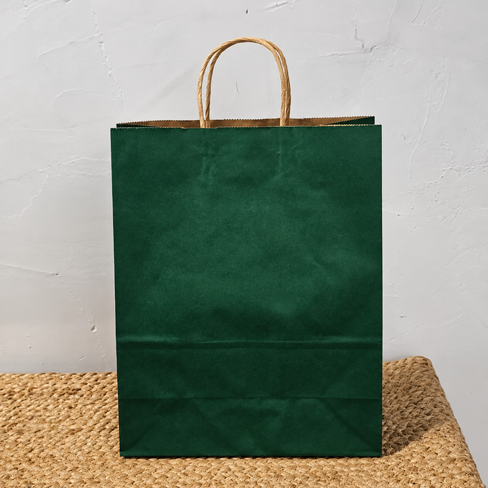 Big Size  Premium  Shopping Bags with Twisted Handles | Big Size 13 × 10 × 5 Inches | Multiple Colours