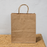 Big Size  Premium  Shopping Bags with Twisted Handles | Big Size 13 × 10 × 5 Inches | Multiple Colours
