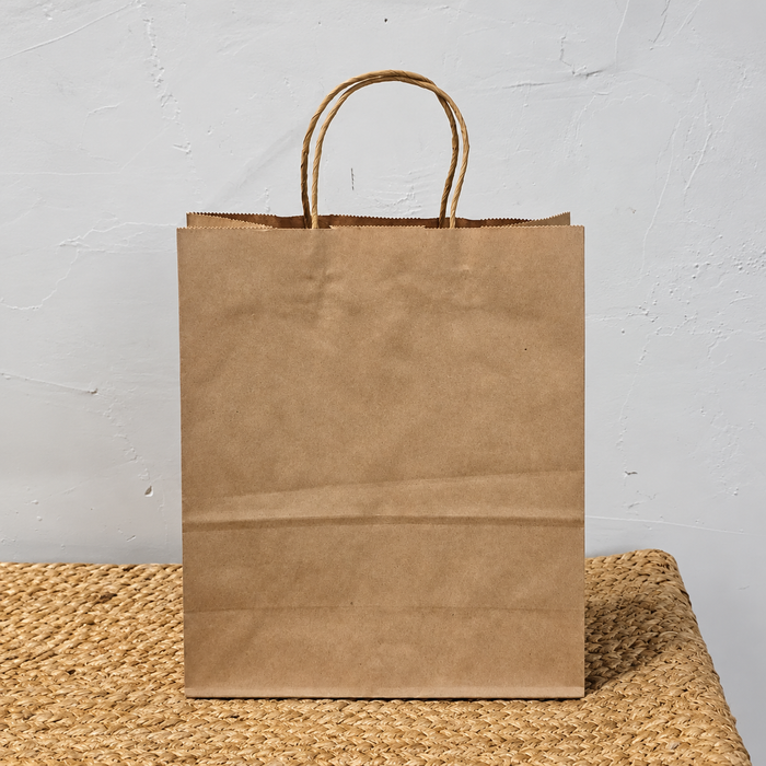 Big Size  Premium  Shopping Bags with Twisted Handles | Big Size 13 × 10 × 5 Inches | Multiple Colours