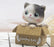 Bobble Head Shaking Cat, Ideal for Car Dashboard Miniature Decorative Figurines Decor for Living Room Decoration, Home, Office