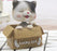Bobble Head Shaking Cat, Ideal for Car Dashboard Miniature Decorative Figurines Decor for Living Room Decoration, Home, Office