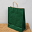 Big Size  Premium  Shopping Bags with Twisted Handles | Big Size 13 × 10 × 5 Inches | Multiple Colours
