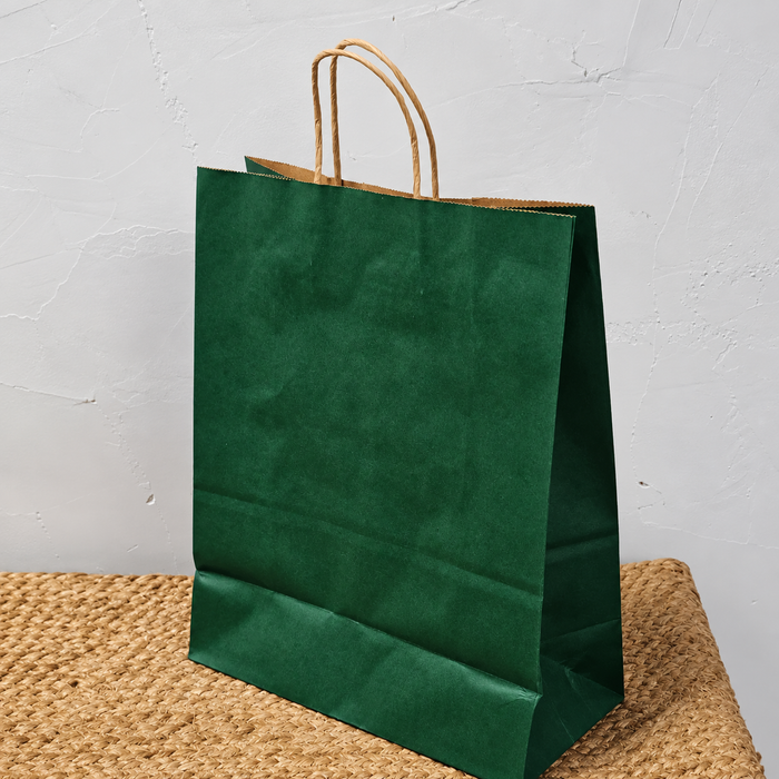 Big Size  Premium  Shopping Bags with Twisted Handles | Big Size 13 × 10 × 5 Inches | Multiple Colours