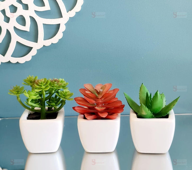 Succulent Small Mini indoor Plants with aesthetic cement pot(1 set =3pcs), Artificial Plant, indoor flower Plant with Pot