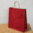 Big Size  Premium  Shopping Bags with Twisted Handles | Big Size 13 × 10 × 5 Inches | Multiple Colours